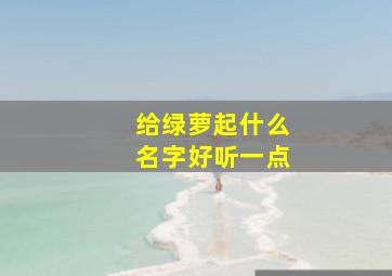 给绿萝起什么名字好听一点