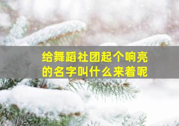 给舞蹈社团起个响亮的名字叫什么来着呢