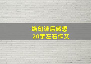 绝句读后感想20字左右作文