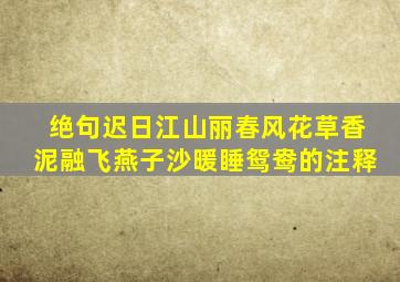 绝句迟日江山丽春风花草香泥融飞燕子沙暖睡鸳鸯的注释