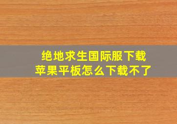 绝地求生国际服下载苹果平板怎么下载不了