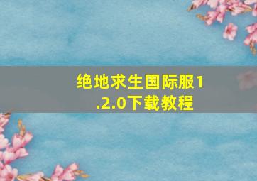 绝地求生国际服1.2.0下载教程