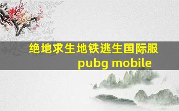 绝地求生地铁逃生国际服pubg mobile