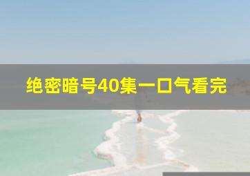 绝密暗号40集一口气看完