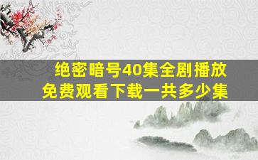 绝密暗号40集全剧播放免费观看下载一共多少集