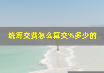 统筹交费怎么算交%多少的