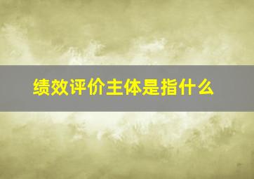 绩效评价主体是指什么