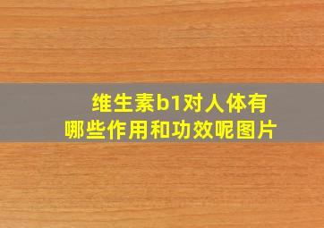 维生素b1对人体有哪些作用和功效呢图片