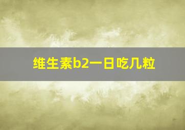 维生素b2一日吃几粒