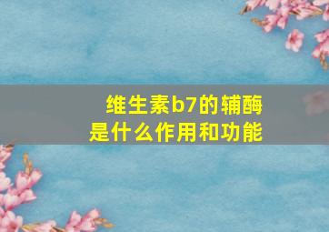 维生素b7的辅酶是什么作用和功能