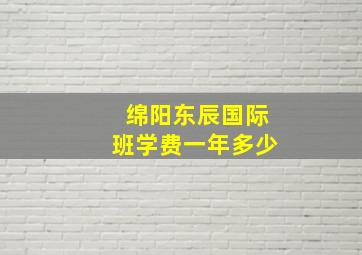 绵阳东辰国际班学费一年多少