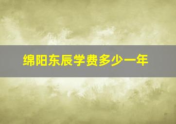 绵阳东辰学费多少一年