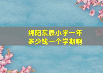 绵阳东辰小学一年多少钱一个学期啊