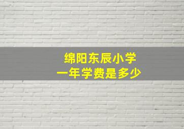 绵阳东辰小学一年学费是多少