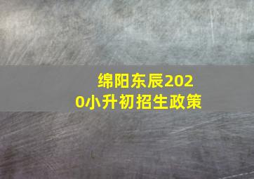 绵阳东辰2020小升初招生政策