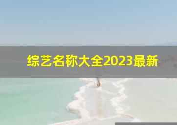 综艺名称大全2023最新