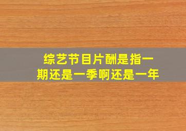 综艺节目片酬是指一期还是一季啊还是一年