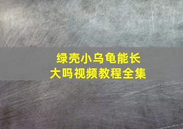 绿壳小乌龟能长大吗视频教程全集