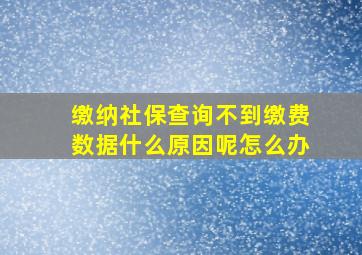 缴纳社保查询不到缴费数据什么原因呢怎么办