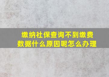 缴纳社保查询不到缴费数据什么原因呢怎么办理