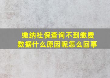 缴纳社保查询不到缴费数据什么原因呢怎么回事