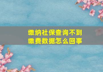 缴纳社保查询不到缴费数据怎么回事