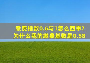 缴费指数0.6与1怎么回事?为什么我的缴费基数是0.58