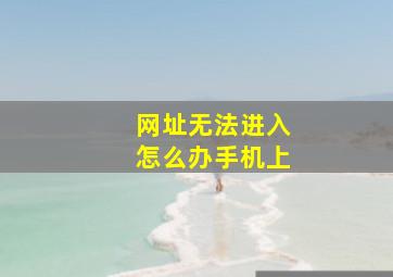 网址无法进入怎么办手机上