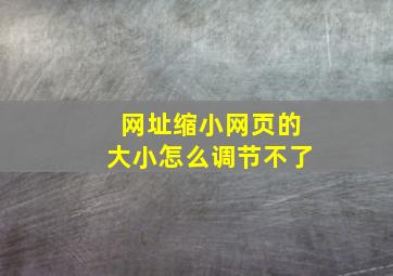 网址缩小网页的大小怎么调节不了