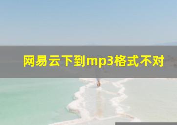 网易云下到mp3格式不对