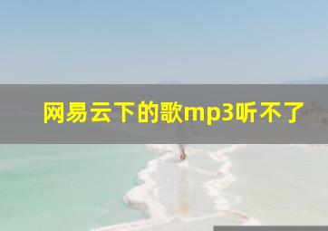 网易云下的歌mp3听不了