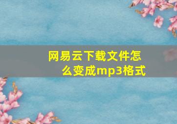 网易云下载文件怎么变成mp3格式