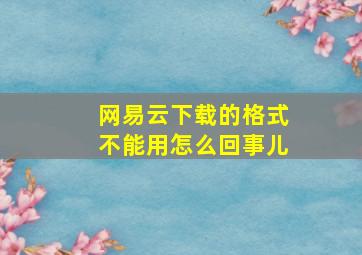 网易云下载的格式不能用怎么回事儿