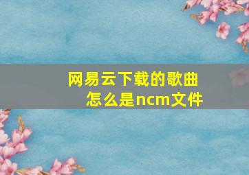 网易云下载的歌曲怎么是ncm文件