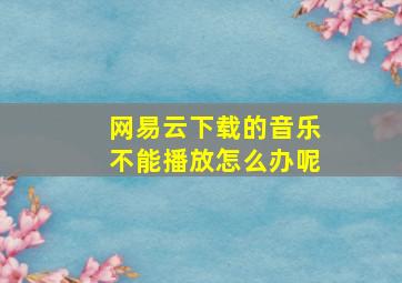 网易云下载的音乐不能播放怎么办呢