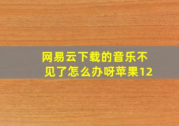 网易云下载的音乐不见了怎么办呀苹果12