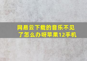 网易云下载的音乐不见了怎么办呀苹果12手机