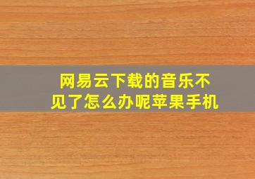 网易云下载的音乐不见了怎么办呢苹果手机