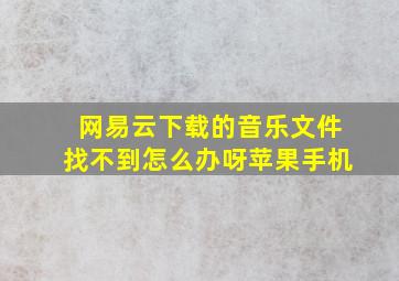 网易云下载的音乐文件找不到怎么办呀苹果手机