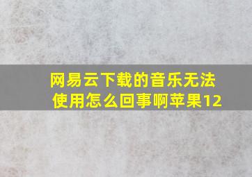 网易云下载的音乐无法使用怎么回事啊苹果12