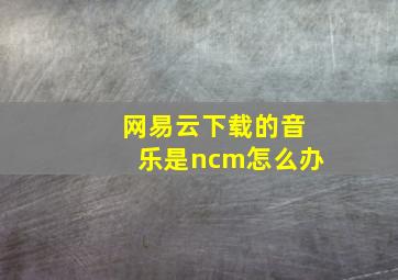 网易云下载的音乐是ncm怎么办