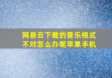 网易云下载的音乐格式不对怎么办呢苹果手机