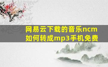 网易云下载的音乐ncm如何转成mp3手机免费