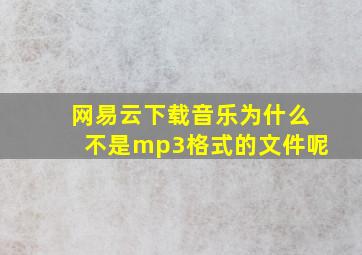 网易云下载音乐为什么不是mp3格式的文件呢