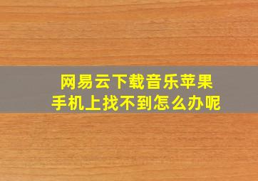 网易云下载音乐苹果手机上找不到怎么办呢