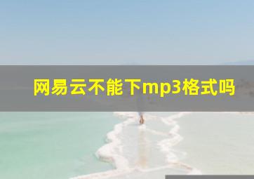 网易云不能下mp3格式吗