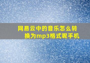 网易云中的音乐怎么转换为mp3格式呢手机