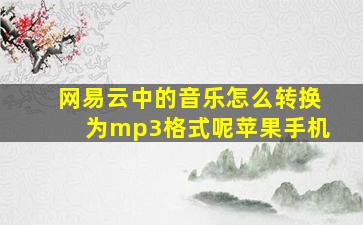 网易云中的音乐怎么转换为mp3格式呢苹果手机