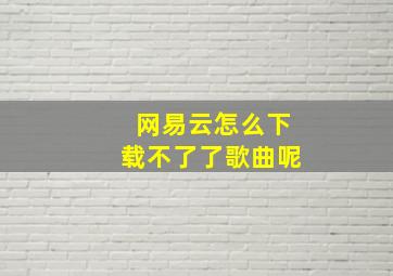 网易云怎么下载不了了歌曲呢