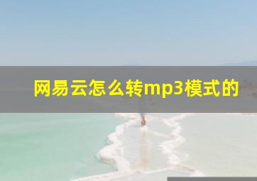 网易云怎么转mp3模式的